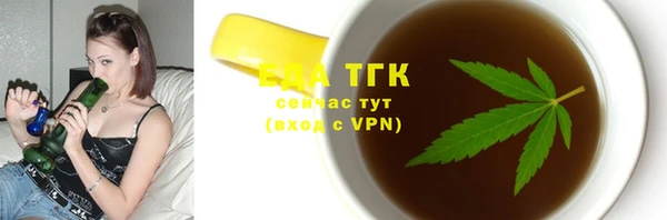 тгк Вяземский